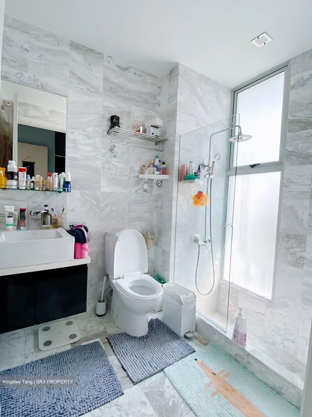 Zenith (D10), Apartment #582327621